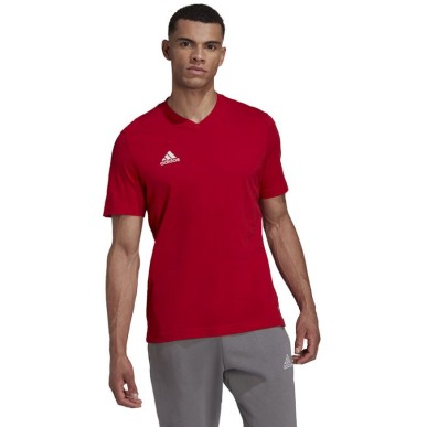 Maglietta adidas Entrada 22 Tee M HC0451