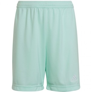 Adidas Entrada 22 Jr HC5058 shorts