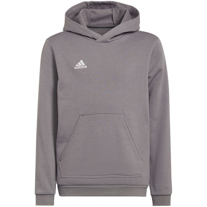 Sweatshirt adidas Entrada 22 Hoody Jr H57515