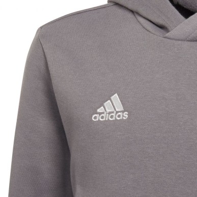 Sweatshirt adidas Entrada 22 Hoody Jr H57515