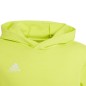 Sweatshirt adidas Entrada 22 Hoody Jr HC5069