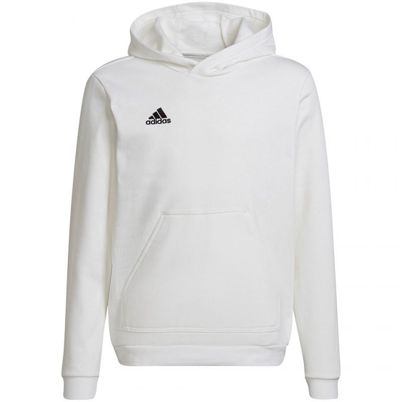 Felpa adidas Entry 22 Hoody Jr HG6303