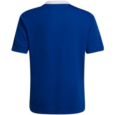 T-shirt adidas Entrada 22 Jsy Jr HG3948