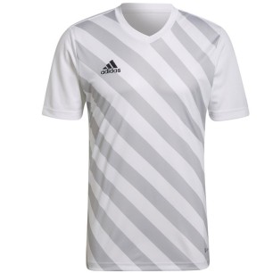 Maglietta adidas Entrada 22 Graphic Jersey M HF0129