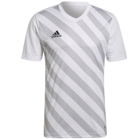 Maglietta adidas Entrada 22 Graphic Jersey M HF0129