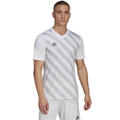 Maglietta adidas Entrada 22 Graphic Jersey M HF0129