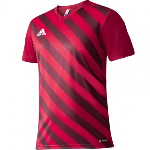 Adidas Entrada 22 Graphic Jersey M HB0572