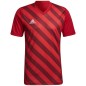 Maglia grafica Adidas Entrada 22 M HB0572