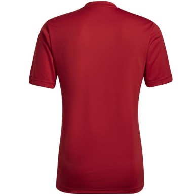 Adidas Entrada 22 Graphic Jersey M HB0572