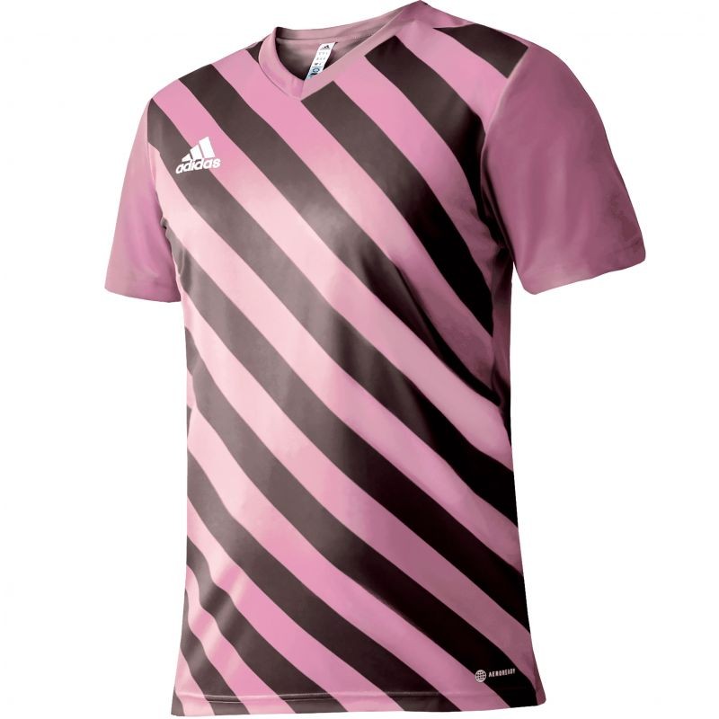 Adidas Entrada 22 Graphic Jersey M HC2633