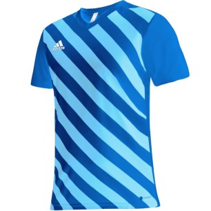 Maglietta adidas Entrada 22 Graphic Jersey M HF0116