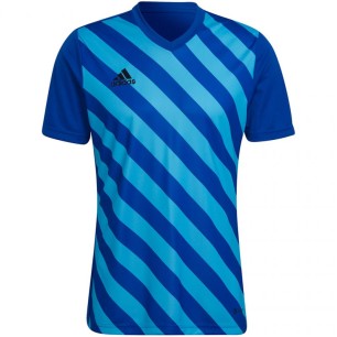 T-shirt adidas Entrada 22 Graphic Jersey M HF0116