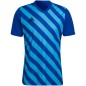 Maglietta adidas Entrada 22 Graphic Jersey M HF0116