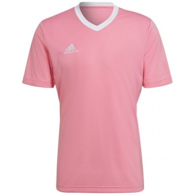 Maglia Adidas Ingresso 22 M HC5072