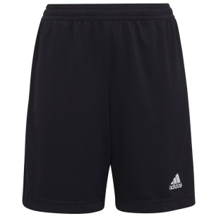 Adidas Entrada 22 Pantaloncini da allenamento Y Jr H57498