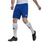 Adidas Entrada 22 M HG6294 shorts