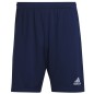 Pantaloncini da allenamento Adidas Entrada 22 M H57488