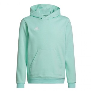 Adidas Entrada 22 Hoody JR HC5066 sweatshirt