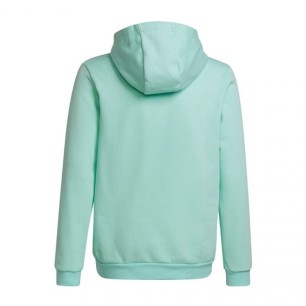 Adidas Entrada 22 Hoody JR HC5066 sweatshirt