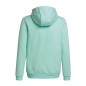 Adidas Entrada 22 Hoody JR HC5066 sweatshirt