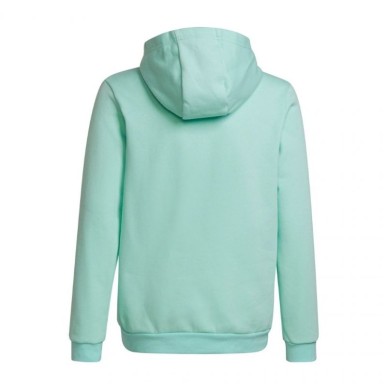 Adidas Entrada 22 Hoody JR HC5066 sweatshirt