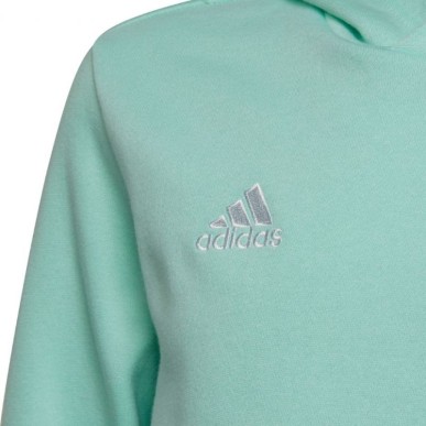 Adidas Entrada 22 Hoody JR HC5066 sweatshirt