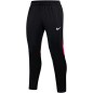 Nike DF Academy Pant KPZ M DH9240 013 pants