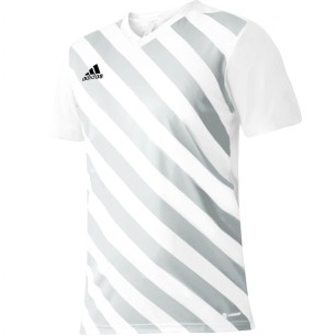 Adidas Entrada 22 Graphic Jersey Jr HF0120