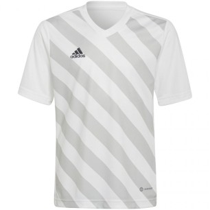 Adidas Entrada 22 Graphic Jersey Jr HF0120