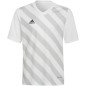 Adidas Entrada 22 Graphic Jersey Jr HF0120