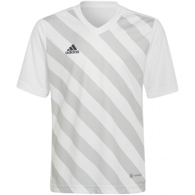 Adidas Entrada 22 Graphic Jersey Jr HF0120