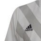 Adidas Entrada 22 Graphic Jersey Jr HF0120