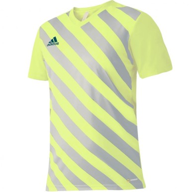 Maglietta adidas Entrada 22 Graphic Jersey M HF0118