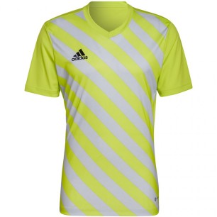 Maglietta adidas Entrada 22 Graphic Jersey M HF0118