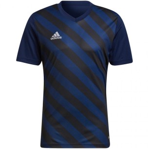 Maglietta adidas Entrada 22 Graphic Jersey M HF0131