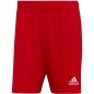 Adidas Entrada 22 M H61735 shorts