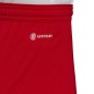 Adidas Entrada 22 M H61735 shorts