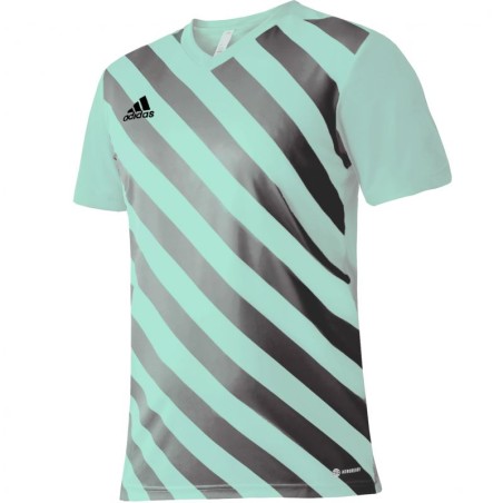 Maglietta adidas Entrada 22 Graphic Jersey M HF0119