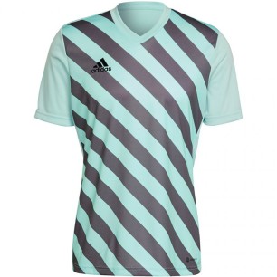 Maglietta adidas Entrada 22 Graphic Jersey M HF0119