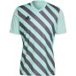 Maglietta adidas Entrada 22 Graphic Jersey M HF0119