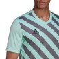 Maglietta adidas Entrada 22 Graphic Jersey M HF0119