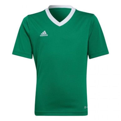 Maglietta adidas Entrada 22 Jersey Jr HI2126