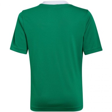 T-shirt adidas Entrada 22 Jersey Jr HI2126