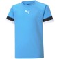 Maglietta Puma teamRise Jersey Jr 704938 18