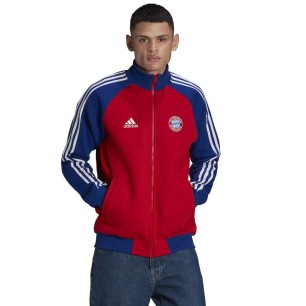 Felpa adidas FC Bayern 21/22 Anthem Jacket M H67174