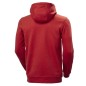 Felpa con cappuccio Helly Hansen Logo M 33977-163