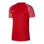 Maglietta Nike Dri-Fit Academy SS M DH8031-657