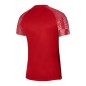 Nike Dri-Fit Academy SS M DH8031-657 T-shirt