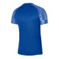 Nike Dri-Fit Academy SS M DH8031-463 T-shirt