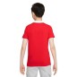 Nike Dri-FIT Park Jr CW6935-657 polo shirt